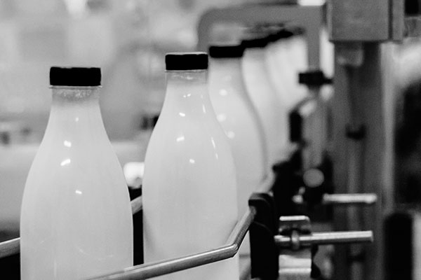 milk processing plant milk processing plant